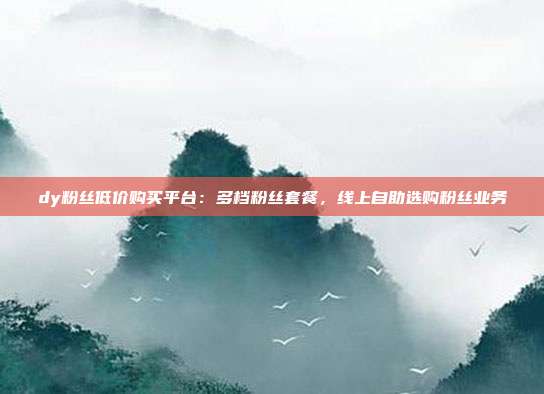 dy粉丝低价购买平台：多档粉丝套餐，线上自助选购粉丝业务