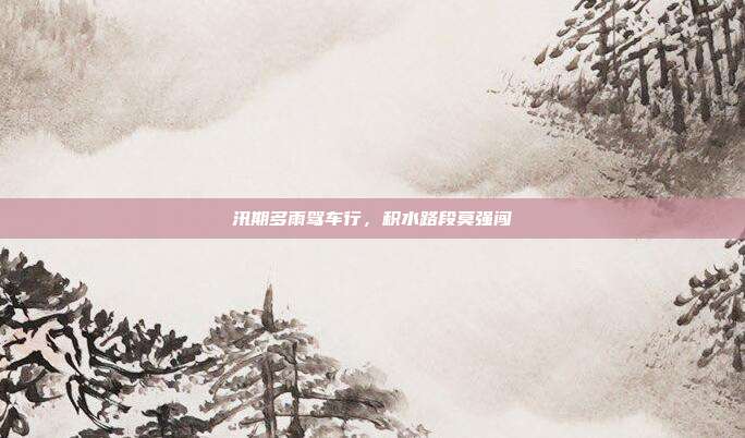 汛期多雨驾车行,积水路段莫强闯