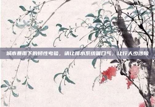 城市暴雨下的韧性考验，请让排水系统喘口气，让行人少涉险