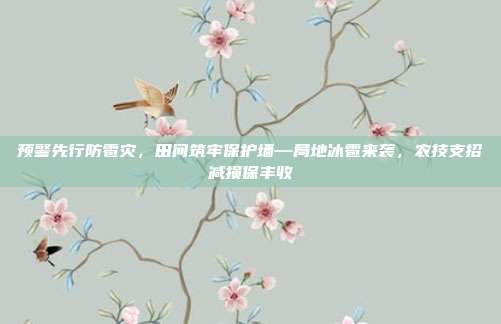 预警先行防雹灾，田间筑牢保护墙—局地冰雹来袭，农技支招减损保丰收