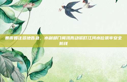 暴雨如注多地告急，水利部门闻汛而动紧盯江河水位筑牢安全防线