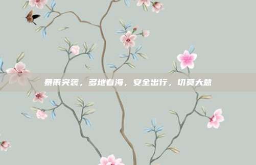 暴雨突袭,多地看海,安全出行,切莫大意