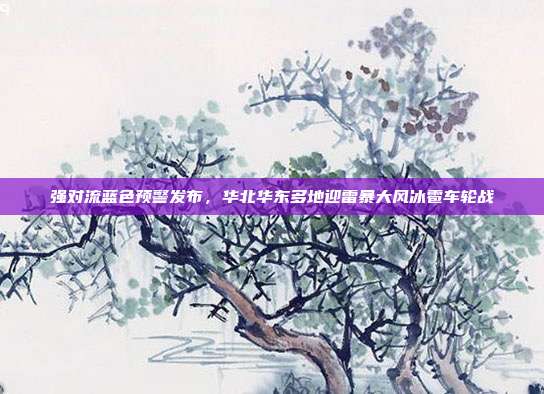 强对流蓝色预警发布,华北华东多地迎雷暴大风冰雹车轮战