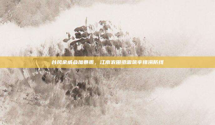 台风余威叠加暴雨，江南农田亟需筑牢排涝防线
