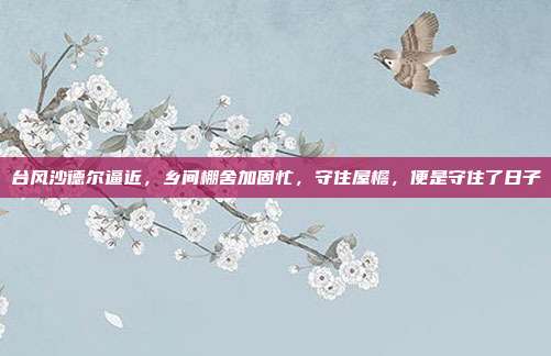 台风沙德尔逼近，乡间棚舍加固忙，守住屋檐，便是守住了日子