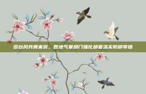 多台风共舞来袭，各地气象部门强化部署落实防御举措