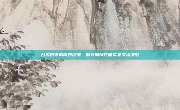 台风携强风雨袭浙闽，部分航班轮渡紧急停运调整