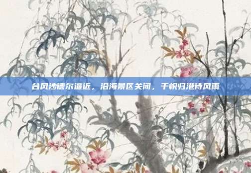 台风沙德尔逼近，沿海景区关闭，千帆归港待风雨