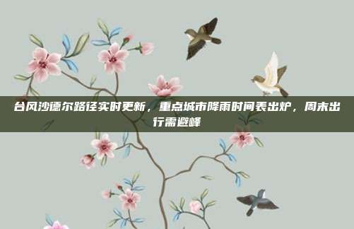 台风沙德尔路径实时更新，重点城市降雨时间表出炉，周末出行需避峰