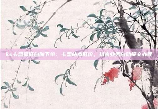 ks卡盟最低自助下单：卡盟站点低价，抖音业务自助提交办理