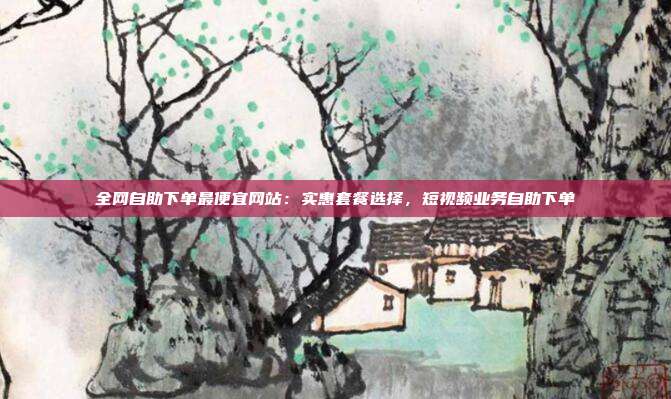 全网自助下单最便宜网站：实惠套餐选择，短视频业务自助下单