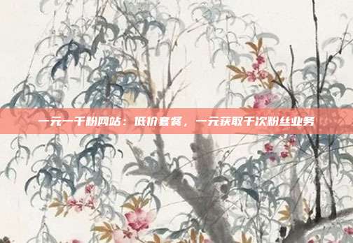 一元一千粉网站：低价套餐，一元获取千次粉丝业务
