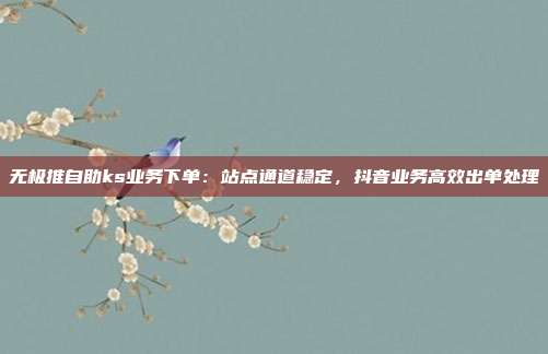 无极推自助ks业务下单：站点通道稳定，抖音业务高效出单处理