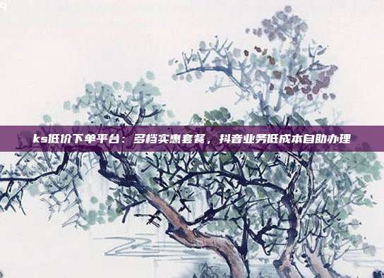 ks低价下单平台:多档实惠套餐,抖音业务低成本自助办理
