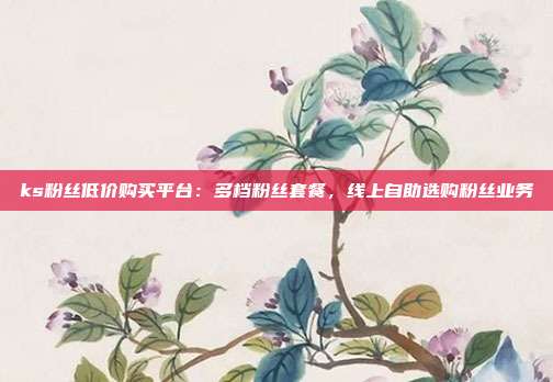 ks粉丝低价购买平台：多档粉丝套餐，线上自助选购粉丝业务