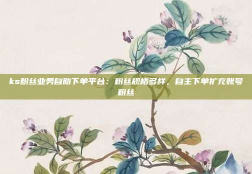 ks粉丝业务自助下单平台：粉丝规格多样，自主下单扩充账号粉丝