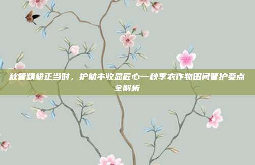秋管精耕正当时,护航丰收显匠心—秋季农作物田间管护要点全解析