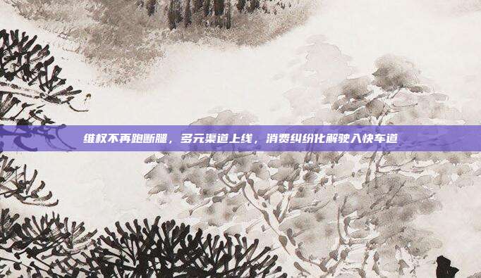 维权不再跑断腿，多元渠道上线，消费纠纷化解驶入快车道