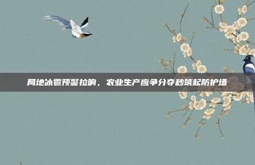 局地冰雹预警拉响，农业生产应争分夺秒筑起防护墙