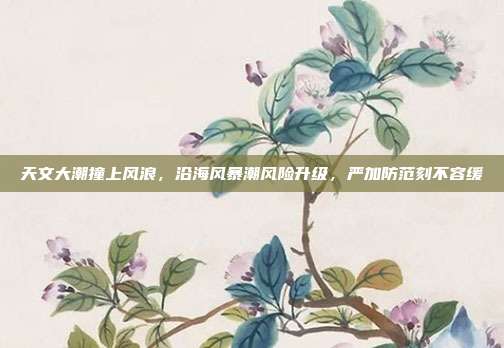 天文大潮撞上风浪,沿海风暴潮风险升级,严加防范刻不容缓
