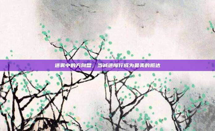 迷雾中的方向盘，当减速慢行成为最美的抵达