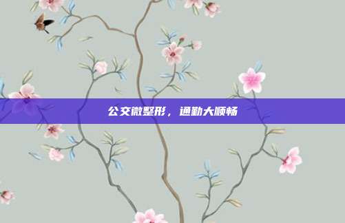 公交微整形，通勤大顺畅