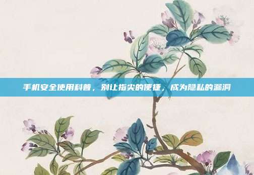 手机安全使用科普,别让指尖的便捷,成为隐私的漏洞