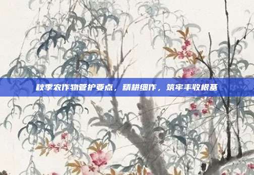 秋季农作物管护要点,精耕细作,筑牢丰收根基