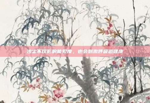 沙尘不仅影响能见度,也会刺激呼吸道健康