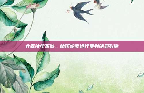 大雾持续不散,航班轮渡运行受到明显影响