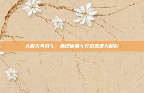 大雾天气开车，合理使用车灯切忌远光照射
