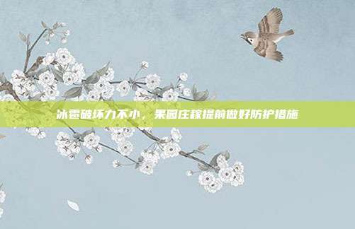 冰雹破坏力不小，果园庄稼提前做好防护措施