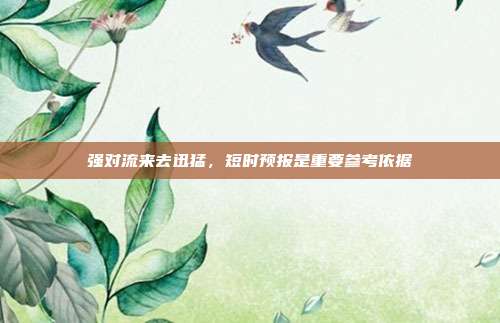 强对流来去迅猛,短时预报是重要参考依据