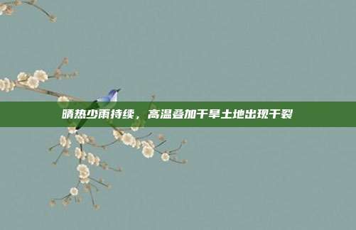 晴热少雨持续,高温叠加干旱土地出现干裂