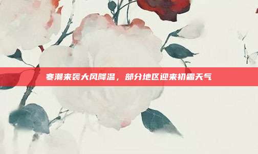 寒潮来袭大风降温，部分地区迎来初霜天气