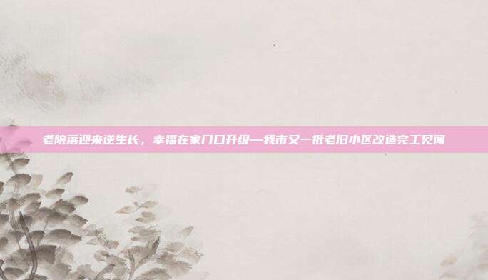 老院落迎来逆生长，幸福在家门口升级—我市又一批老旧小区改造完工见闻