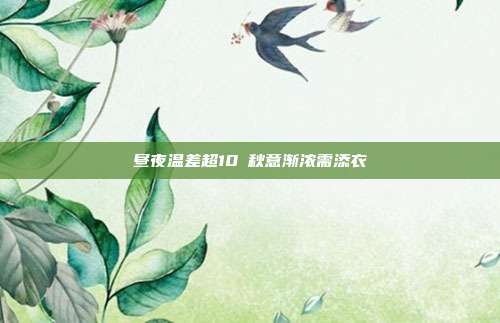 昼夜温差超10℃秋意渐浓需添衣
