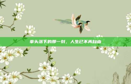 拳头落下的那一刻,人生已不再自由