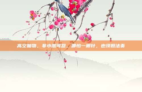 高空抛物,非小恶可恕,哪怕一根针,也须担法责