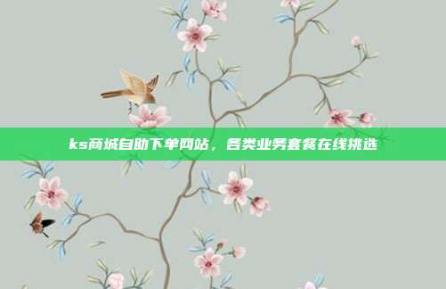 ks商城自助下单网站，各类业务套餐在线挑选