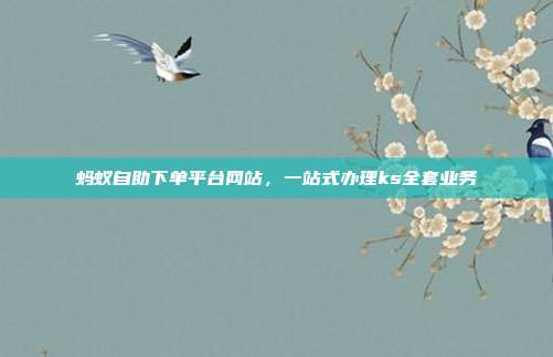 蚂蚁自助下单平台网站，一站式办理ks全套业务