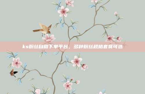 ks粉丝自助下单平台，多种粉丝规格套餐可选
