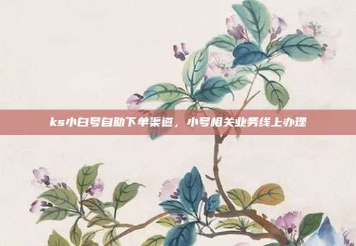 ks小白号自助下单渠道,小号相关业务线上办理