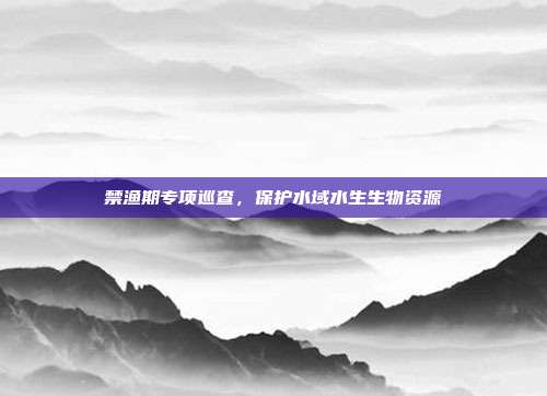 禁渔期专项巡查，保护水域水生生物资源
