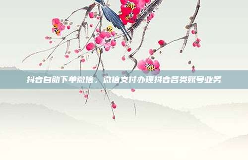 抖音自助下单微信，微信支付办理抖音各类账号业务