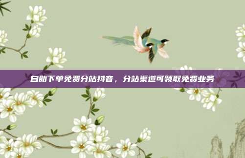 自助下单免费分站抖音，分站渠道可领取免费业务