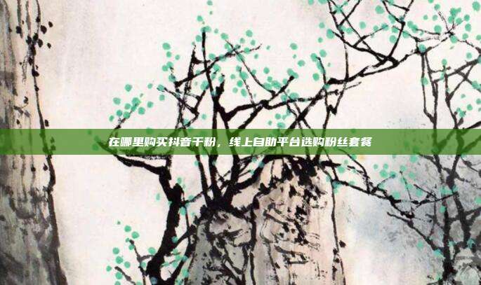 在哪里购买抖音千粉，线上自助平台选购粉丝套餐