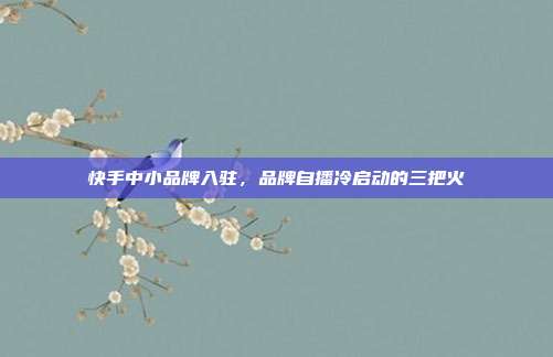 快手中小品牌入驻，品牌自播冷启动的三把火