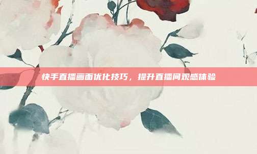 快手直播画面优化技巧，提升直播间观感体验