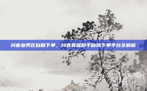 抖音业务区自助下单,抖音直播助手自助下单平台全解析
